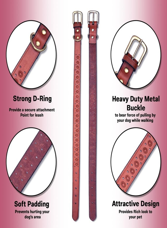 ADIL'S Adil’S Hand-Tooled Leather Dog Collar 1 Inch Width, Adjustable Sizes, Soft Padded Comfort with D-Ring & Sturdy Metal Buckle - Ideal for Small to Large Dogs, Maroon Colour, Size: S - Image 3